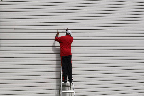 Best Stone Veneer Siding  in Norwalk, IA