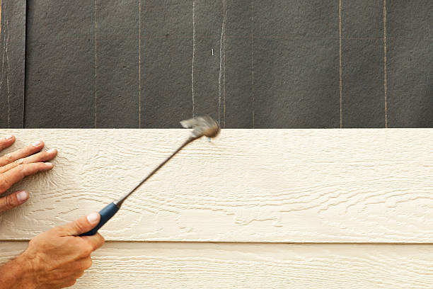 Best Steel Siding Installation  in Norwalk, IA